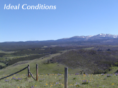 Ideal Conditions