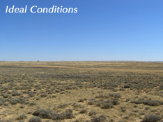 Ideal Conditions